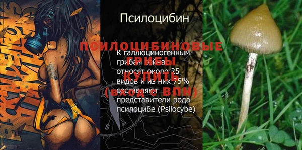 гашик Наволоки