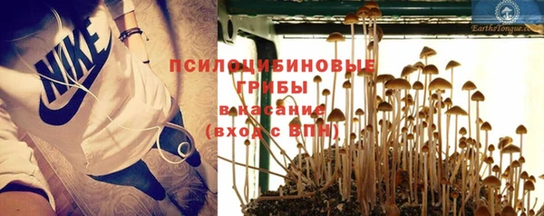 эйфоретик Надым