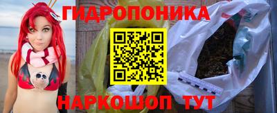 Альфа ПВП Бийск