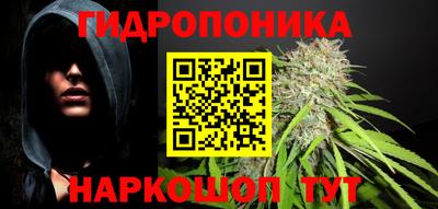 крисы Беслан