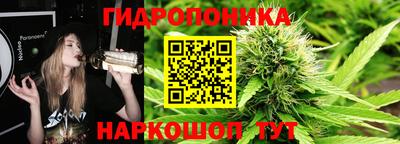 Альфа ПВП Бийск