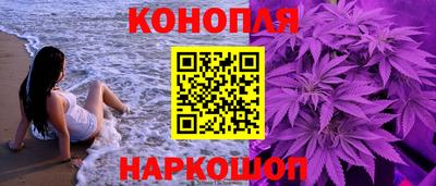 Альфа ПВП Бийск