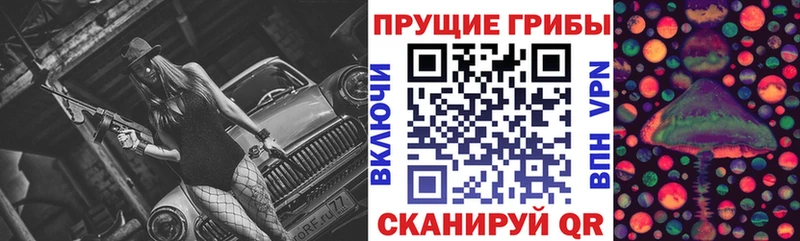 купить закладку  Грозный  Псилоцибиновые грибы ЛСД 