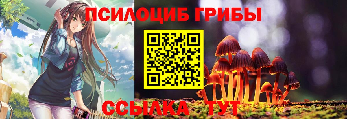 Грозный  Псилоцибиновые грибы GOLDEN TEACHER  Вход с VPN 