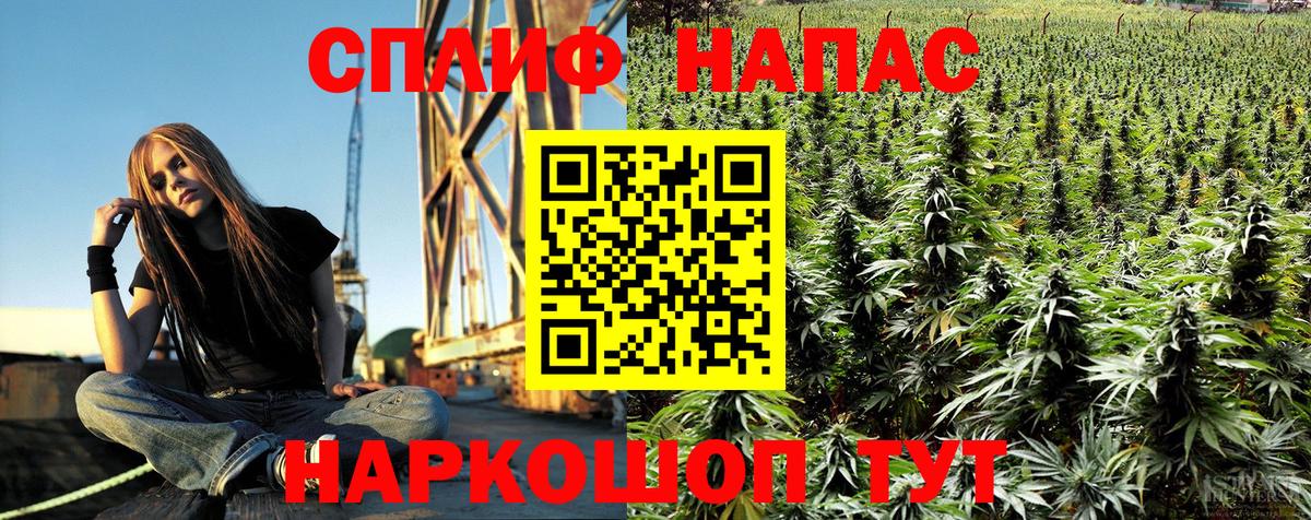 Бошки марихуана OG Kush Грозный